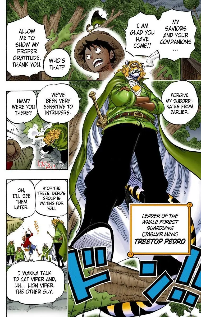 One Piece Digital Colored Chapter 814 image 11